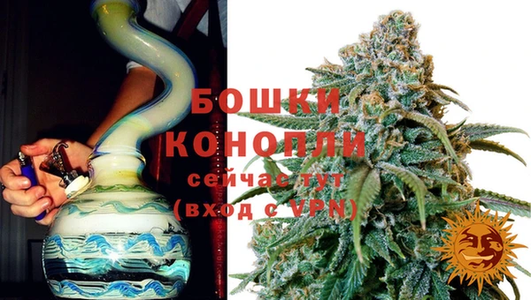 ПСИЛОЦИБИНОВЫЕ ГРИБЫ Верхний Тагил