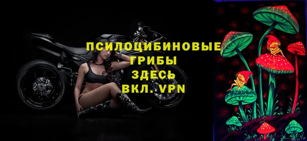 мдпв Верея
