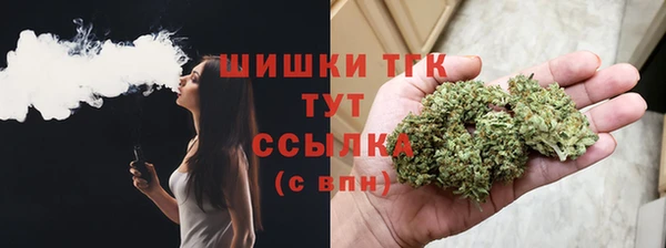 мдпв Верея