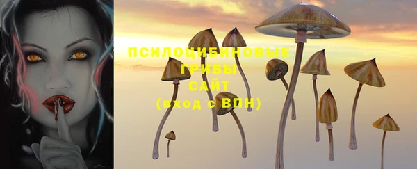 мдпв Верея