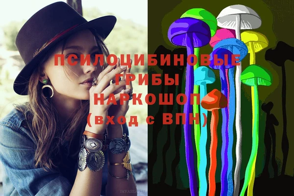мдпв Верея