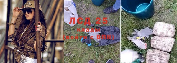 мдпв Верея