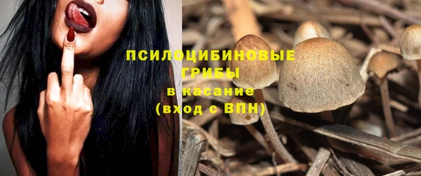 мдпв Верея