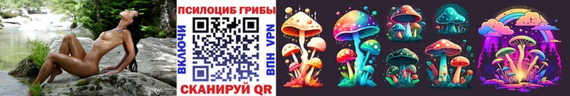где можно купить наркотик Юрга Псилоцибиновые грибы Psilocybe